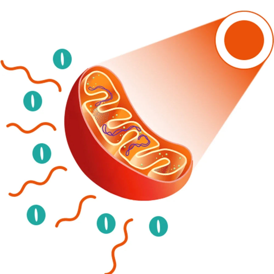 Red Light Therapy for Neuropathy Benefits Research and What to Know