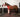 Does Red Light Therapy Actually Work on Horses? What Studies Show