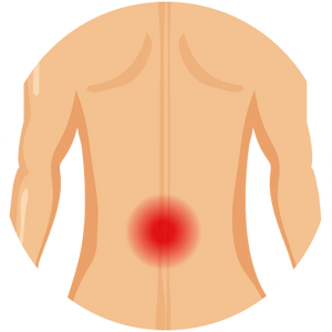 Lower Back