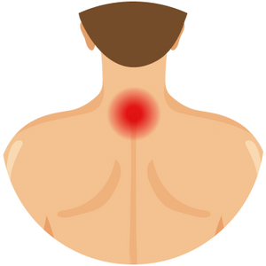 Neck and Shoulder