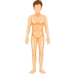Full Body