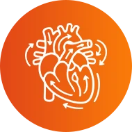 Promoting Blood Circulation
